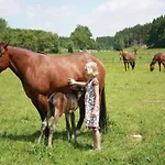 Rustic Farm In Rogery * Gouvy