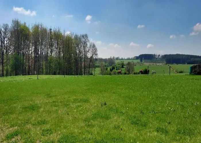 Rustic Farm In Rogery Gouvy