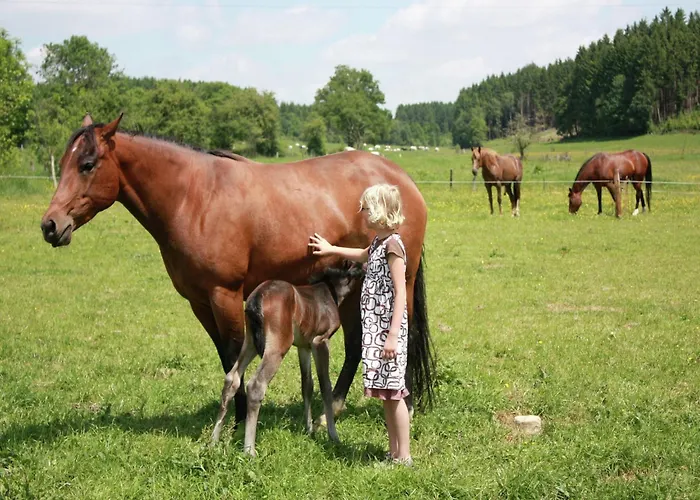 Rustic Farm In Rogery * Gouvy